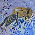 Honey Bee