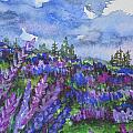 Lupine Fields