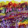 Dreamscape 3